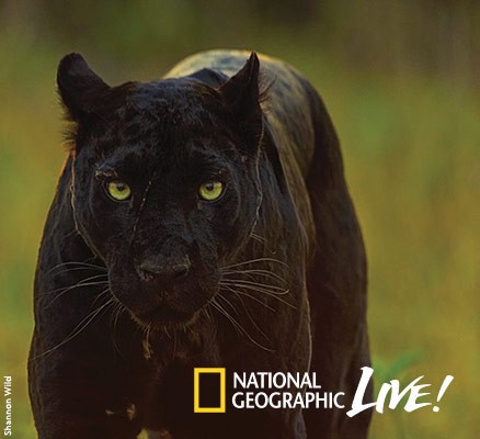 National Geographic Live: Pursuit of The Black Panther at Benaroya Hall