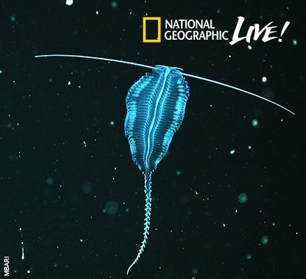 National Geographic Live: Designed by Nature at Benaroya Hall